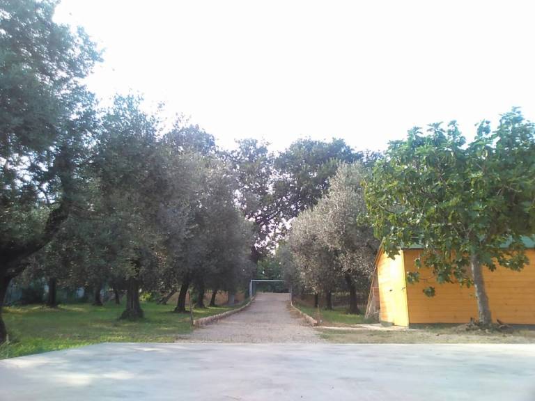 foto16