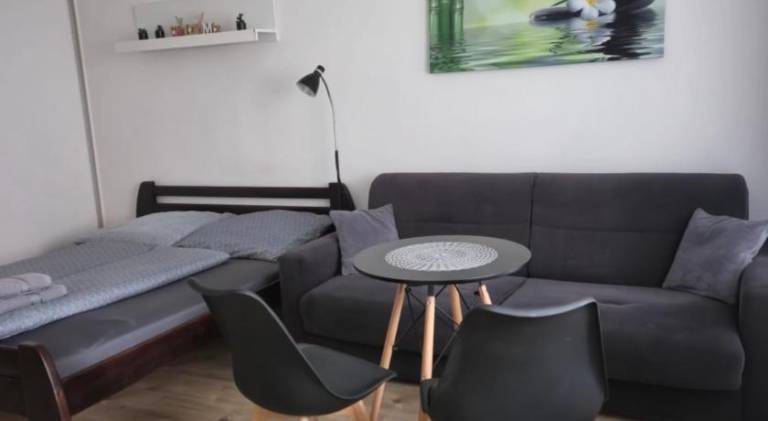 Apartment with 1 room for 4 persons — photo 4