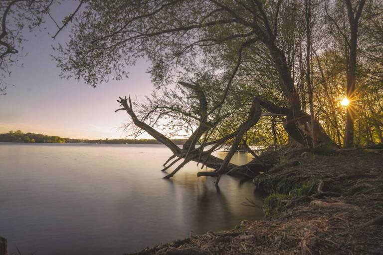foto18