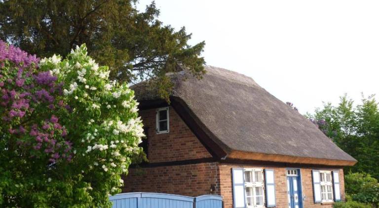 Vacation home with BBQ, patio & yard in Putbus