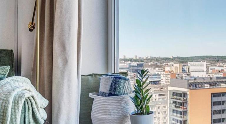 Rental apartment with 1 room for 3 persons — photo 4