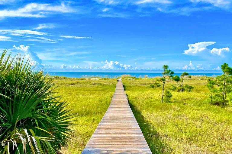 House Cape San Blas