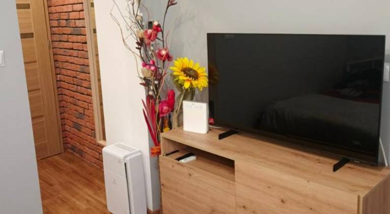 Holiday apartment | Pets allowed — photo 4
