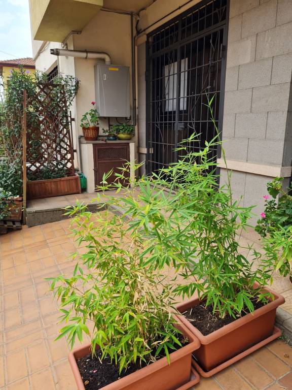 Appartamento Tuscania