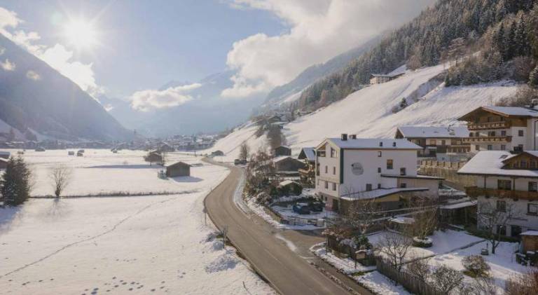 Rental apartment with yard in Fulpmes