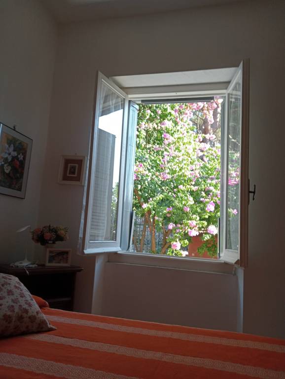 foto36