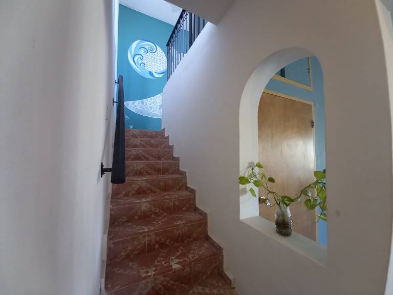 foto22