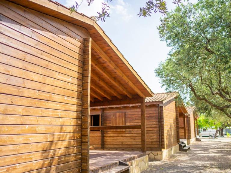 Bungalow with patio — photo 5