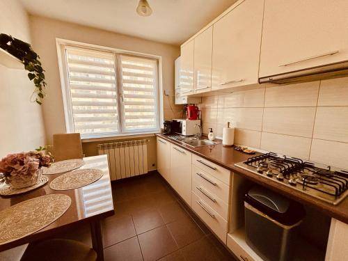 Apartman Coltău