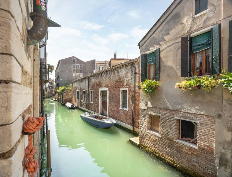 Rental apartment | Near Piazza San Marco — photo 4