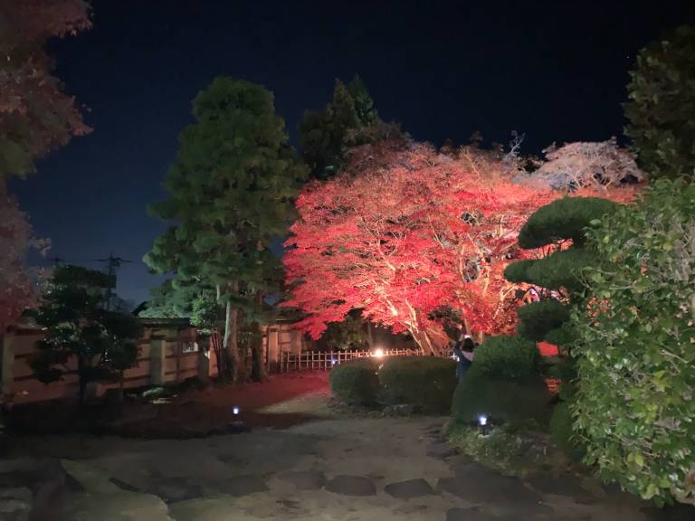 foto7