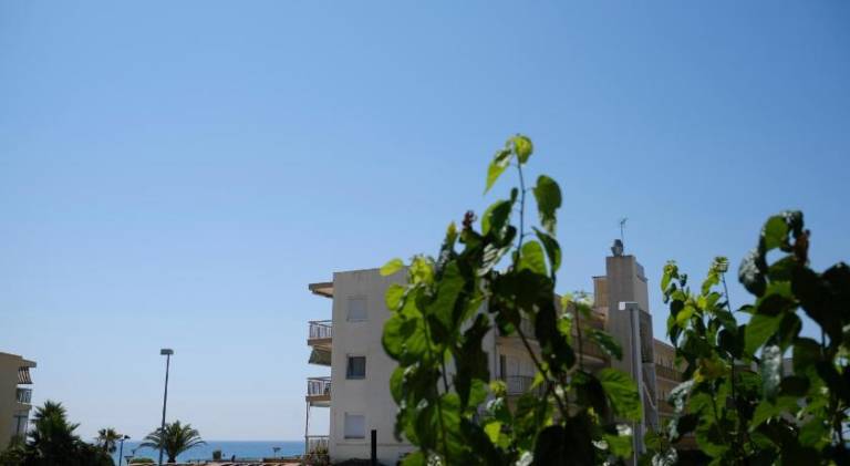 Apartment | Close to the beach | Pets allowed — photo 5