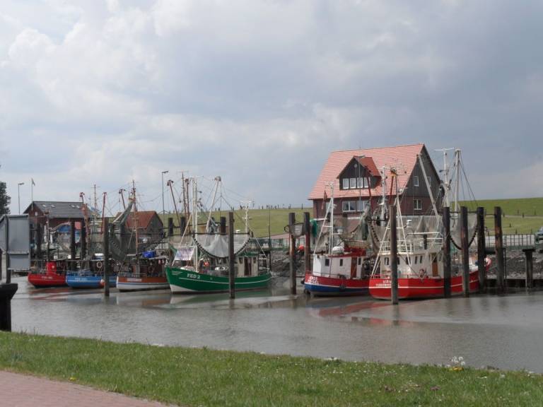 foto18