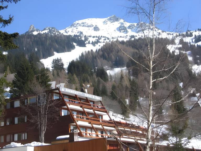 Hotel Arcadien in Bourg-Saint-Maurice