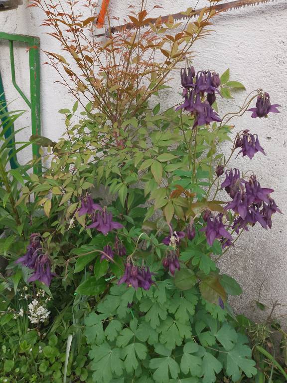 foto22