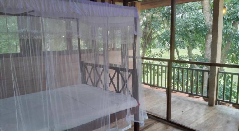GREEN HERBAL Ayurvedic Eco-Lodge — photo 3