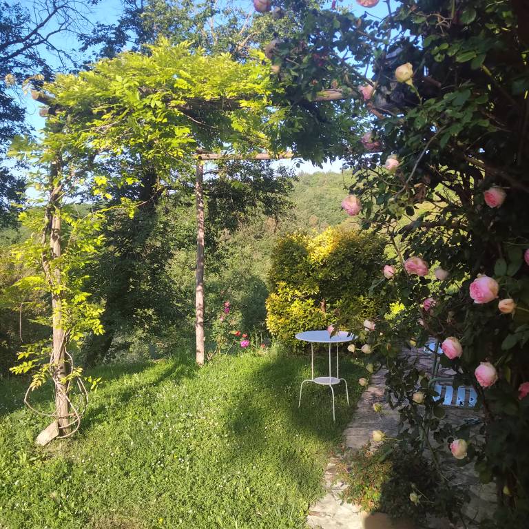 foto40