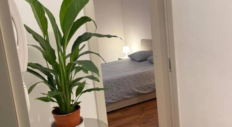 Beautiful apartment | Pets allowed — photo 5