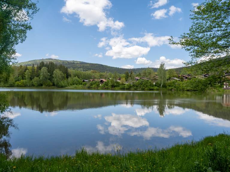 foto17