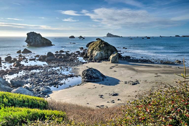 Unique Dog-Friendly Log Cabin: Short Walk to Ocean — photo 3