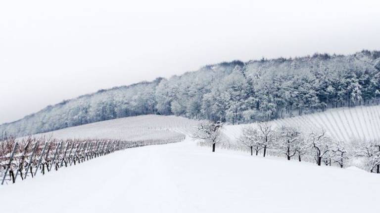 Ferienwohnung  Löwenstein