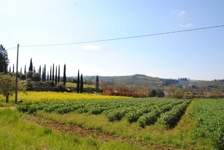 Casale Firenze
