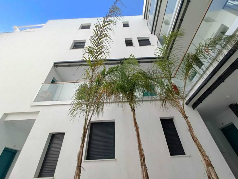 151 -Apartamento La Palmera — photo 2