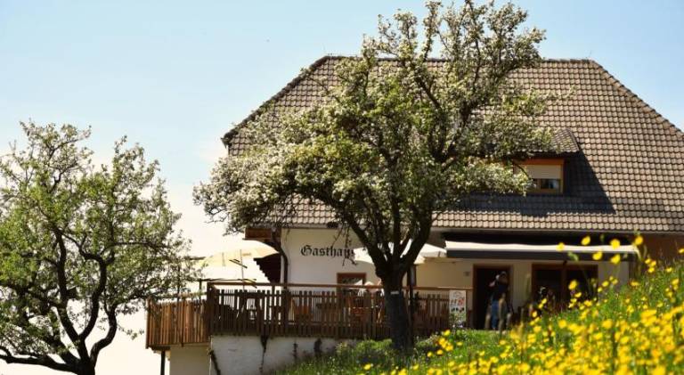 Farm with patio & yard in Renon