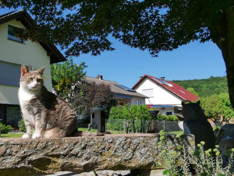 foto17