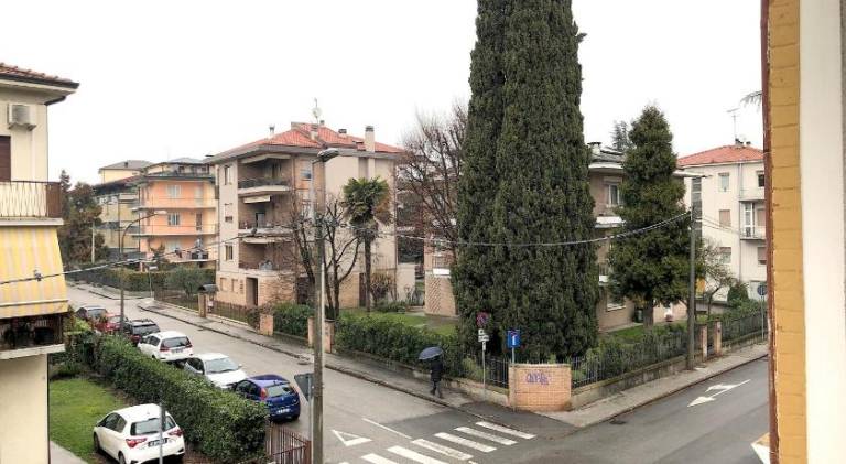 Apartment with garden & terrace — photo 5
