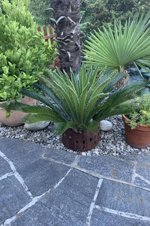 Fully equipped vacation home with terrace & grill | Nature view | Dogs allowed — photo 4