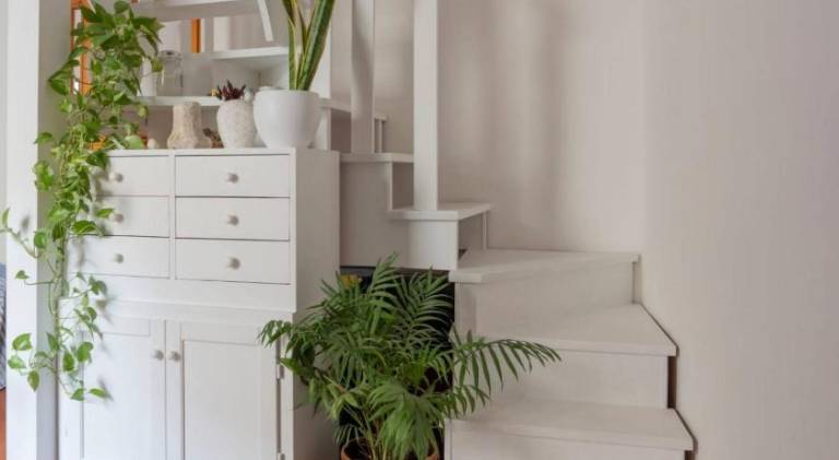 Lovely apartment | Close to the beach | Pet-friendly — photo 3