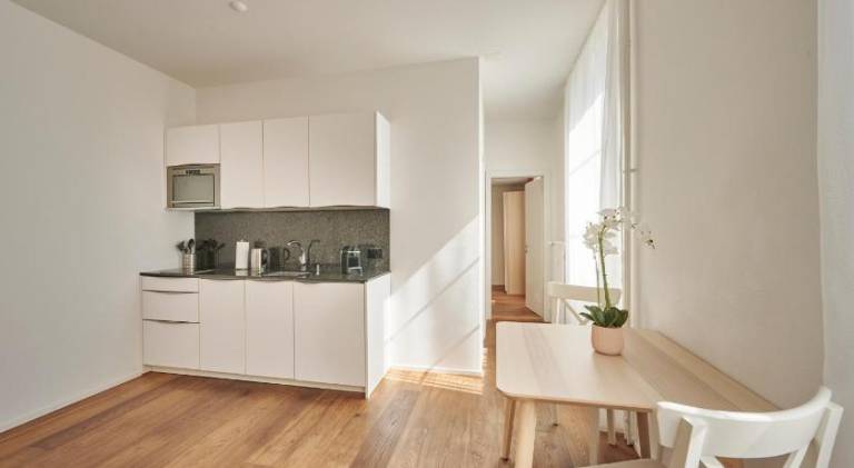 Bern 4, Modern City Apartment Bern, big privat terrace — photo 3