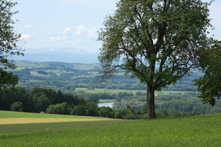Ferienwohnung  Amstetten