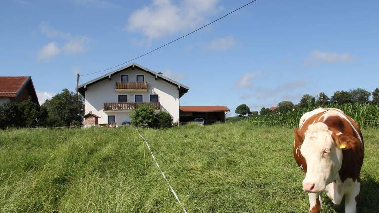 Ferienwohnung Traunstein