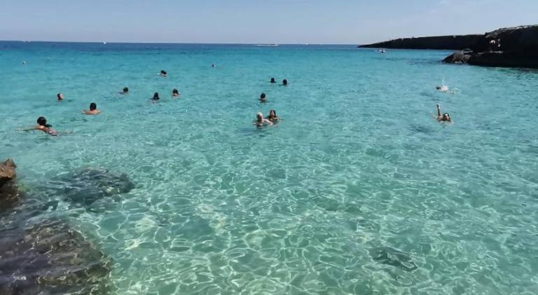 Nice holiday apartment | Pet-friendly in Monopoli