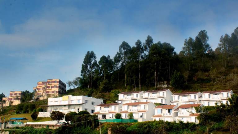 foto8