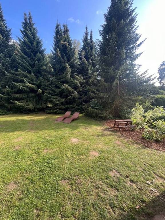 foto15