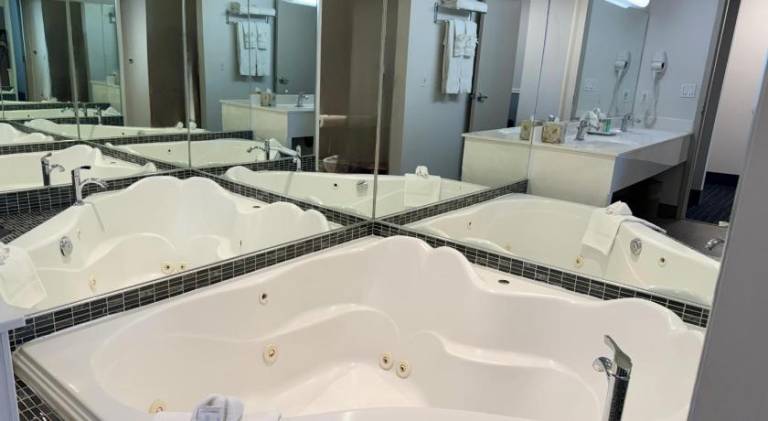 Divya Sutra Plaza and Conference Centre Calgary Airport — photo 5