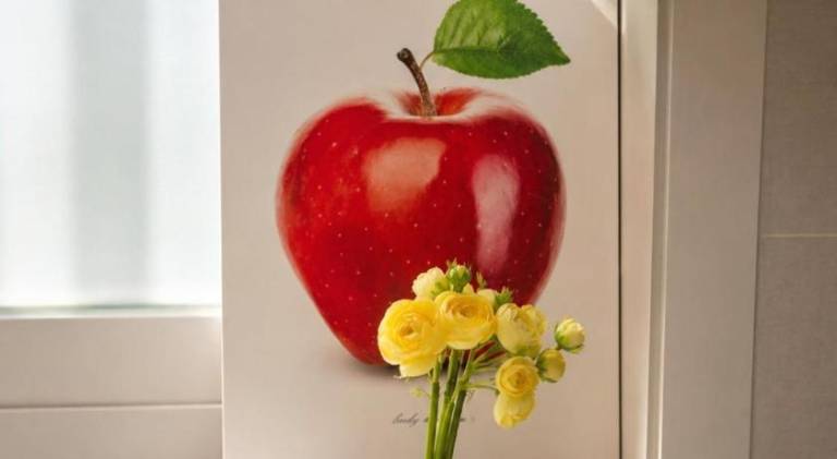 foto6