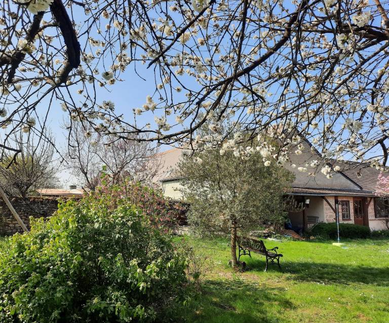 Maison de vacances Avon-les-Roches