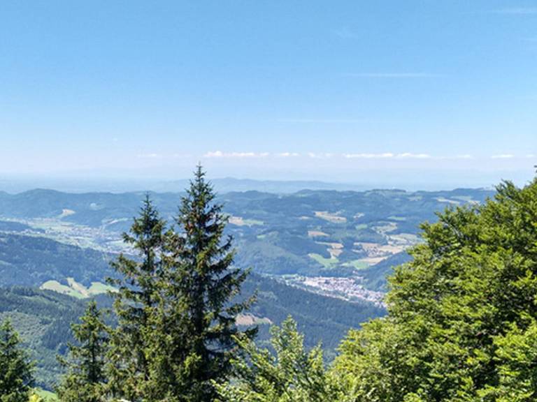 foto19