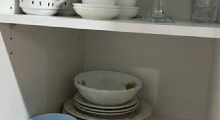 foto19