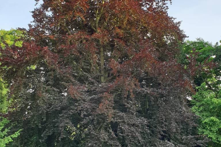 foto23