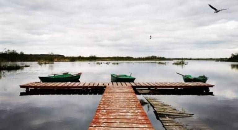 Wonderful farm | Pets allowed in Rewal
