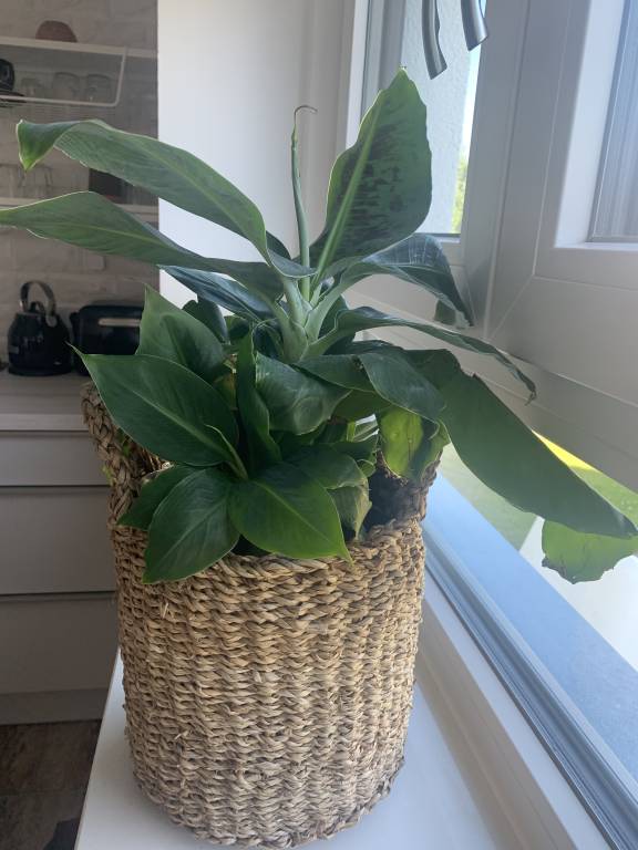foto22