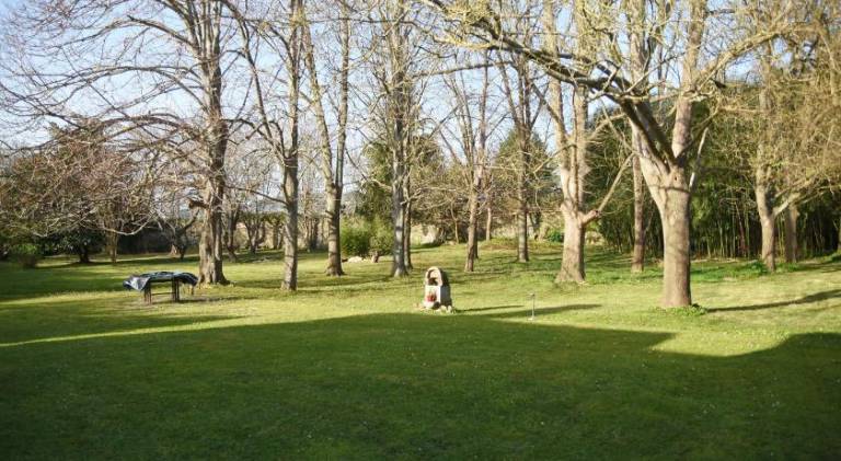 foto14