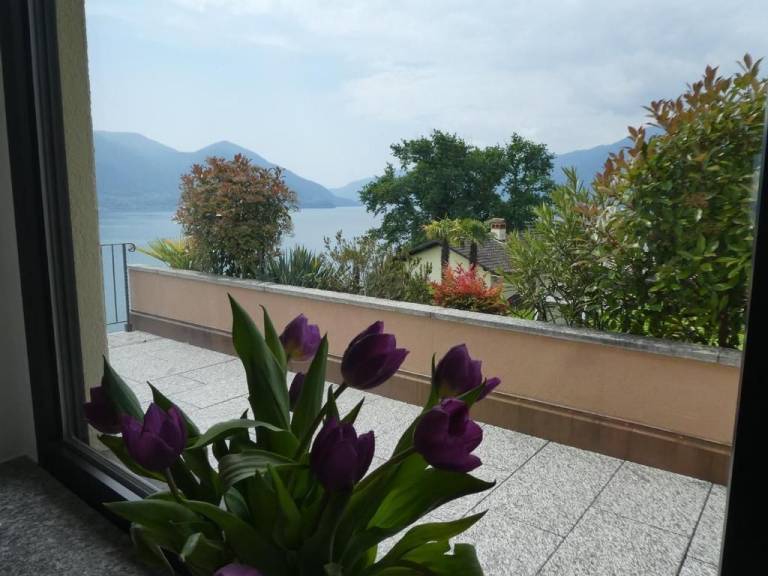 foto11