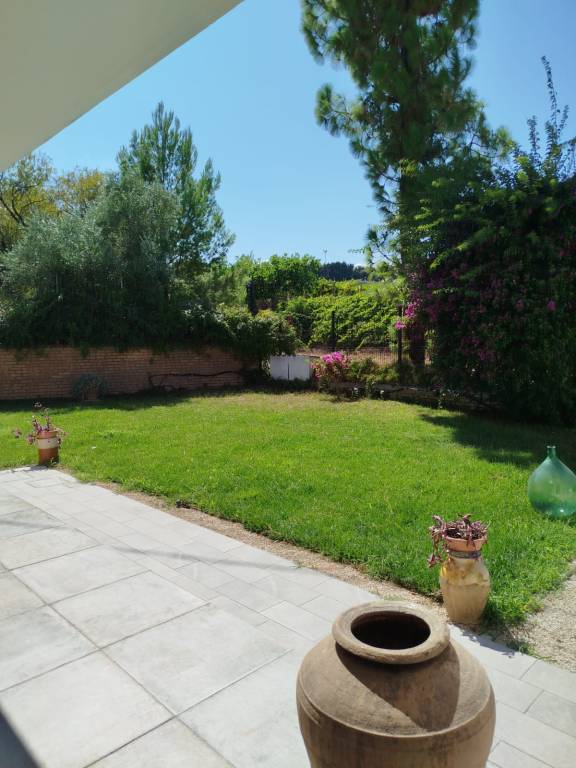 foto8