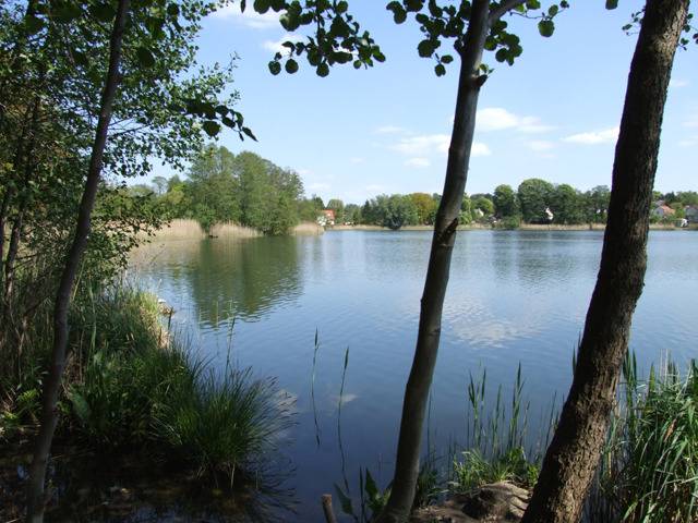 foto12
